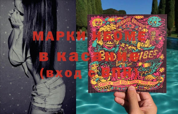 соль ск Кулебаки