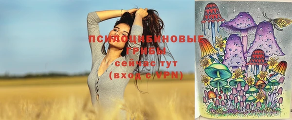 первитин Козельск